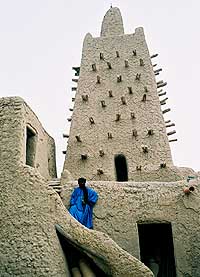 �}�����a���g���u�N�g�D�̃W���K���x�[���E���X�N�ʐ^