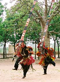 �}�����a���h�S���_���X�ʐ^