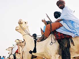 �����̃t�F�X�e�B�o���ʐ^2