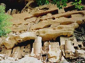 �}�����a���h�S���̃��K���ʐ^