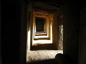 �}�����a���K�I�̃A�X�L�A����ɂ��郂�X�N�����̎ʐ^