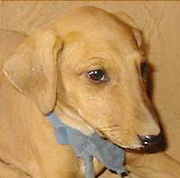 �A�U���N�q���ʐ^3