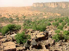 �}�����a���h�S���ʐ^2