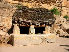 �}�����a���h�S���̃g�O�i�ʐ^