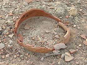 �}�����a���W�F���l�W�F�m��Վʐ^