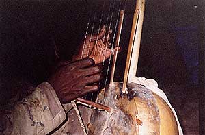 �}�����a���h���\�ʐ^