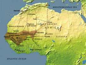 �}�������̃T�n�����Ճ��[�g